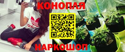 герыч Краснодар