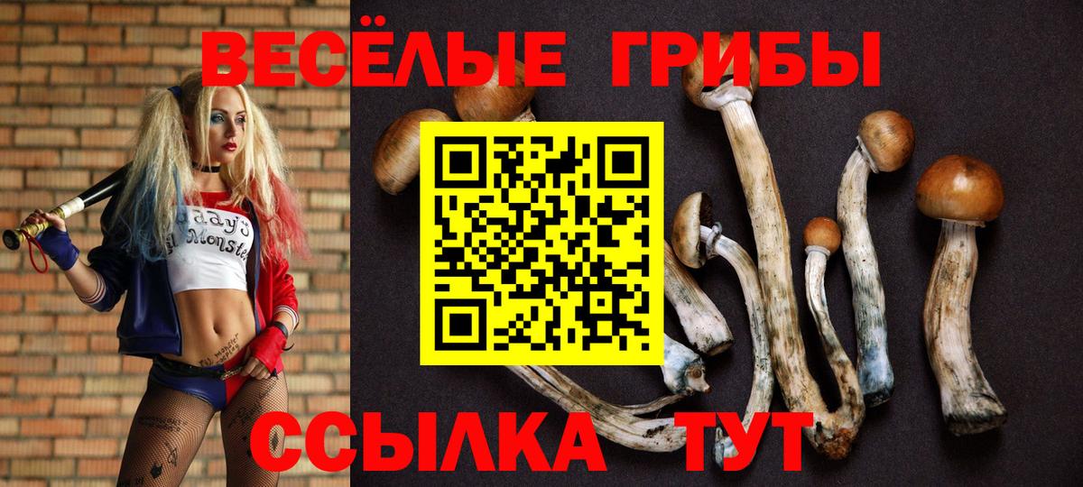 Псилоцибиновые грибы Psilocybe Канаш
